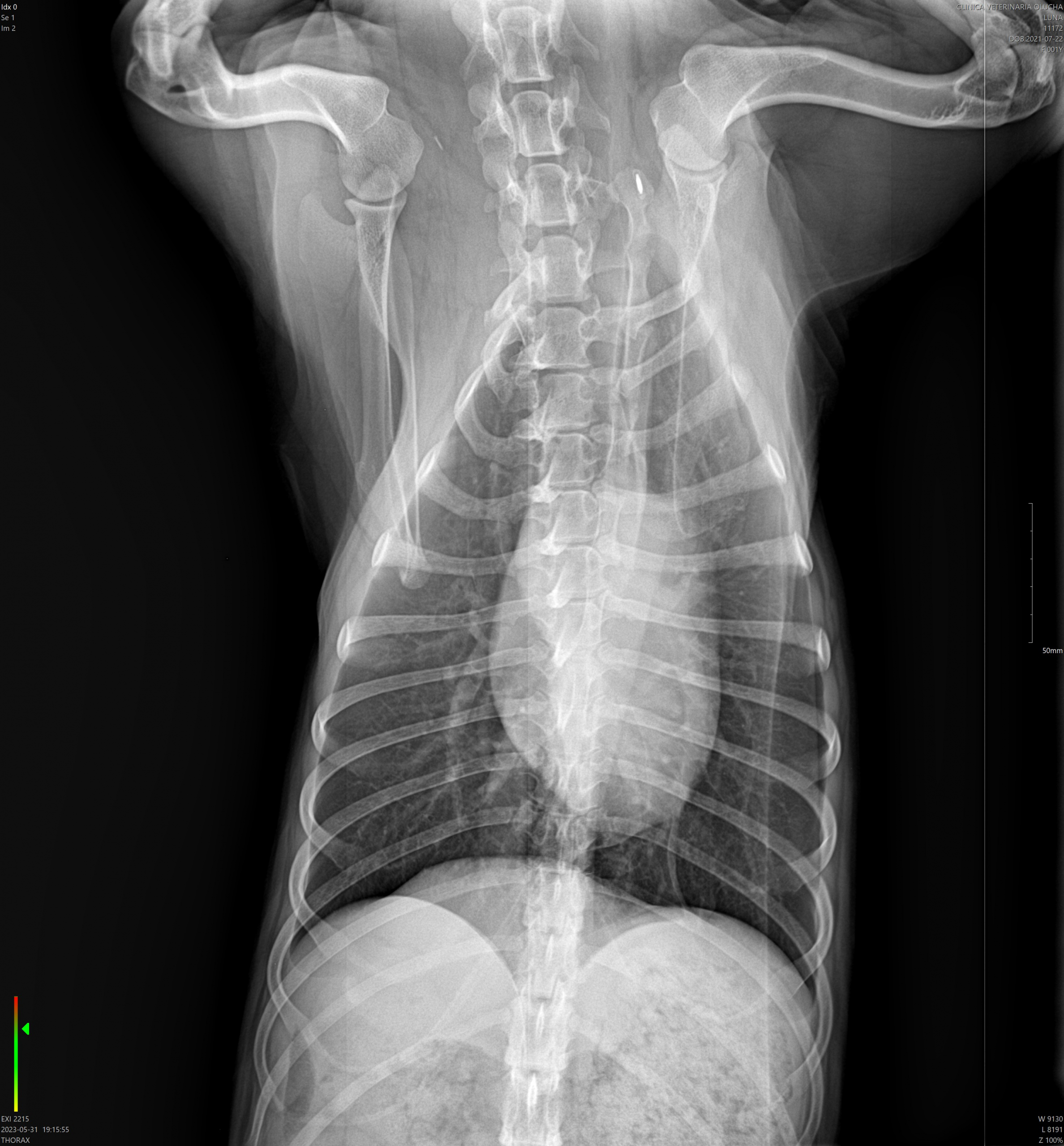 11172__LUNA_31-05-2023 19_15_55_1-2