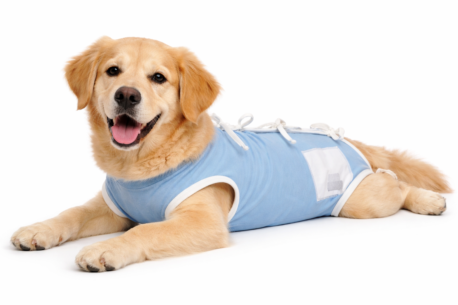 ChatGPT Image 8 feb 2026, 16_57_09