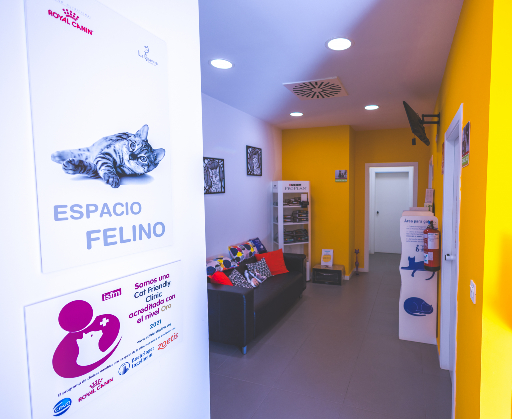 La Graveta cuenta con acreditación Cat Friendly Clinic – Nivel ORO, un reconocimiento que avala nuestro compromiso con una atención adaptada y respetuosa para los gatos.