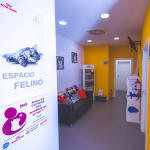 Somos Clínica Amable con los Gatos – Nivel ORO