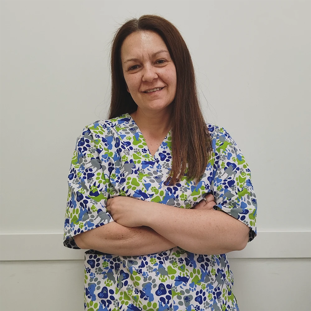 pilar-recepcion-clinica-veterinaria-lagraveta